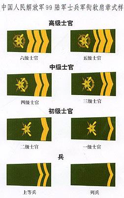 ���Σ� - qizigu - һ��һ����