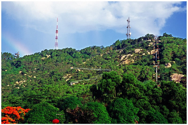 ��Ʒ������