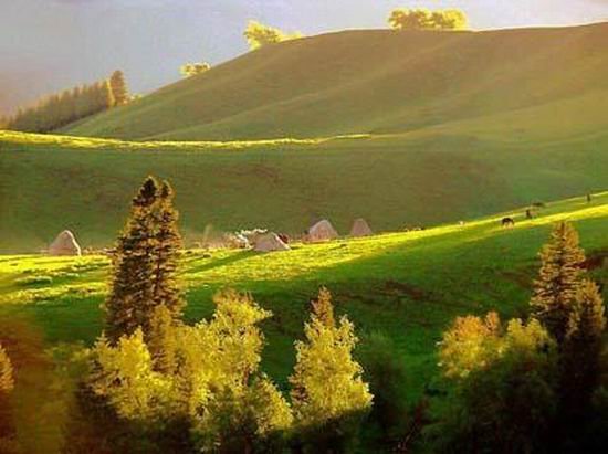 ��Ʒ������