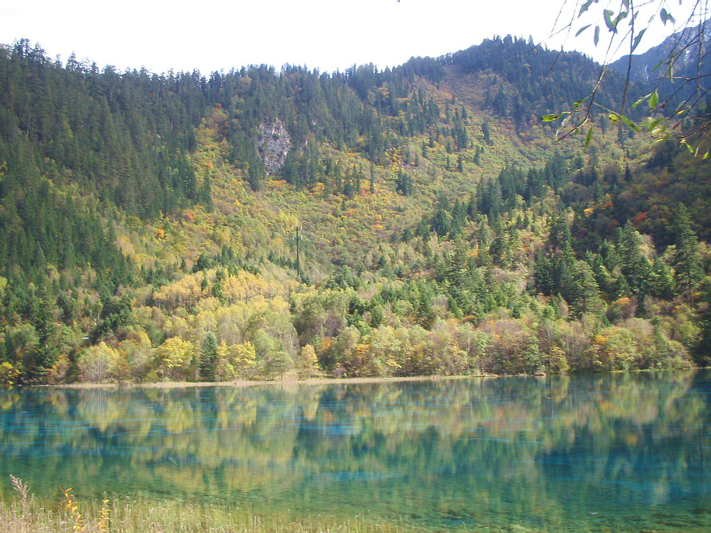 =