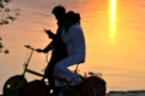 ���������е�����