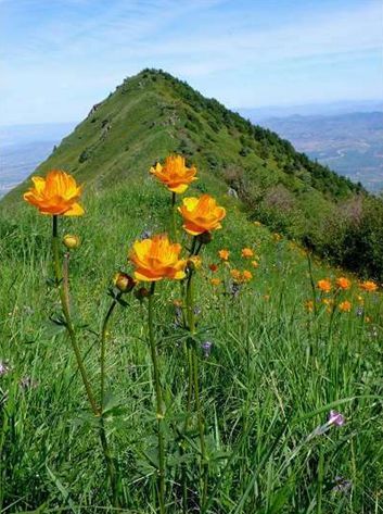 ��Ʒ������