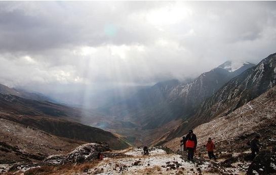 ��Ʒ������