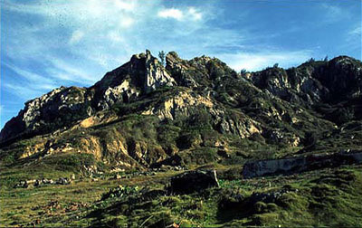 ��Ʒ������