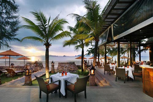 �������ȼٴ�����˾�ɫ