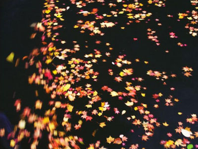 ��Ʒ������