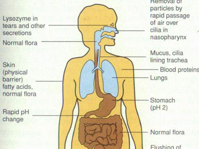 ��Ʒ������