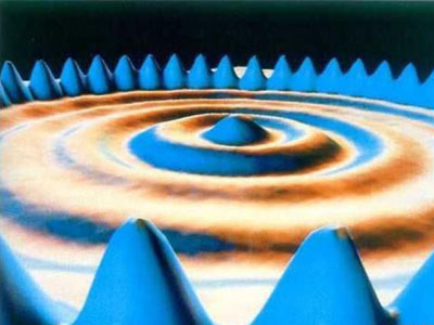 ��Ʒ������