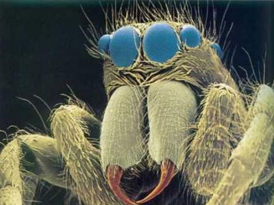 ��Ʒ������