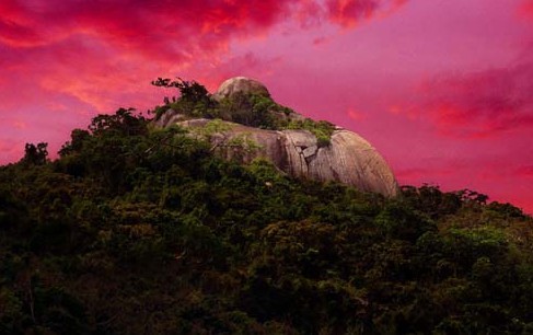 ɭ�ֹ�԰����