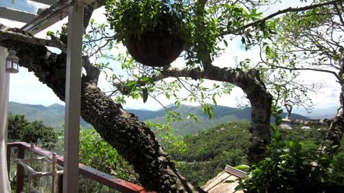 ��俸��Ű���һ��