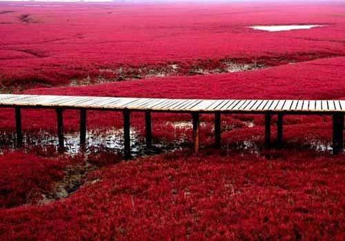 精品消费网 精品消费网