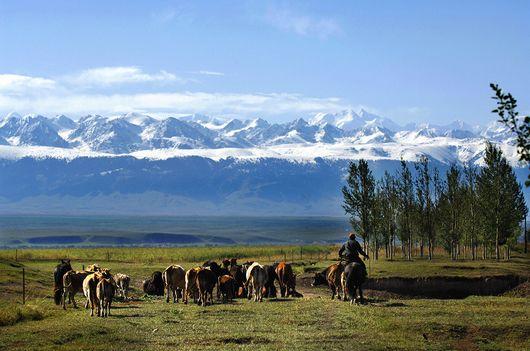 精品消费网 精品消费网