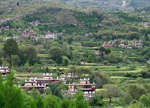 精品消费网 精品消费网