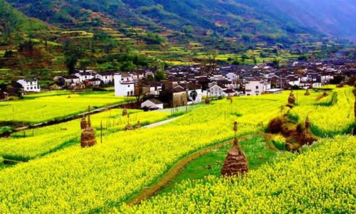 精品消费网 精品消费网