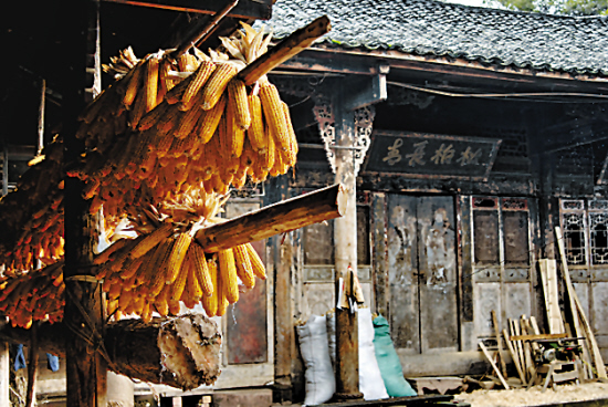 精品消费网 精品消费网