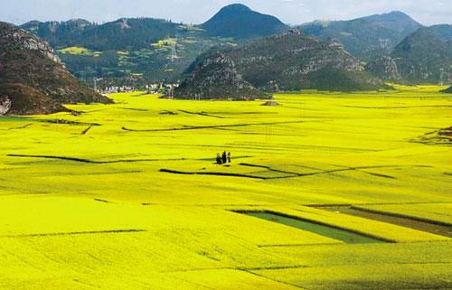 精品消费网 精品消费网