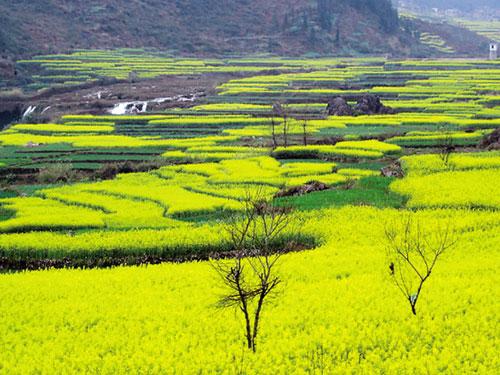 精品消费网 精品消费网