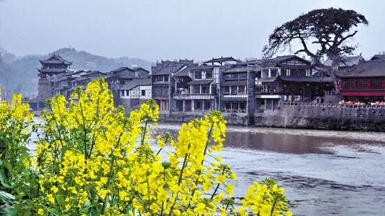 精品消费网 精品消费网