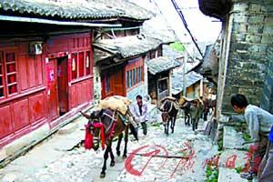 精品消费网 精品消费网