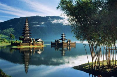 ��Ʒ������