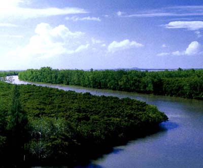  �й������ĵط�13���˴󺣰��� - С�� - С��