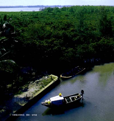  �й������ĵط�13���˴󺣰��� - С�� - С��