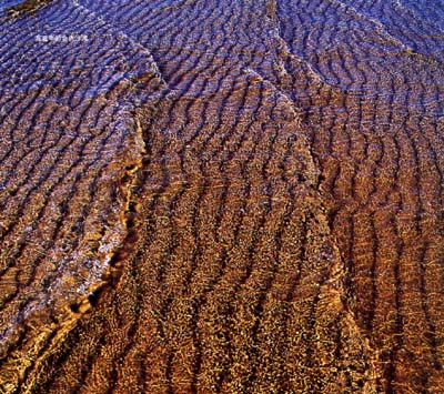  �й������ĵط�13���˴󺣰��� - С�� - С��