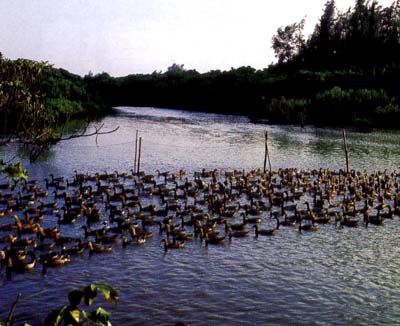  �й������ĵط�13���˴󺣰��� - С�� - С��