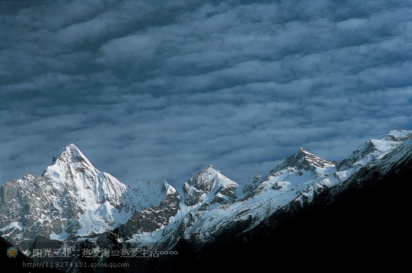 ��Ʒ������