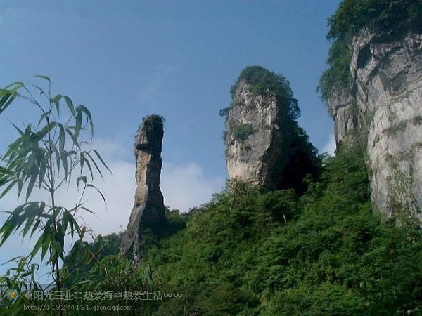 ��Ʒ������