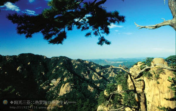 ��Ʒ������