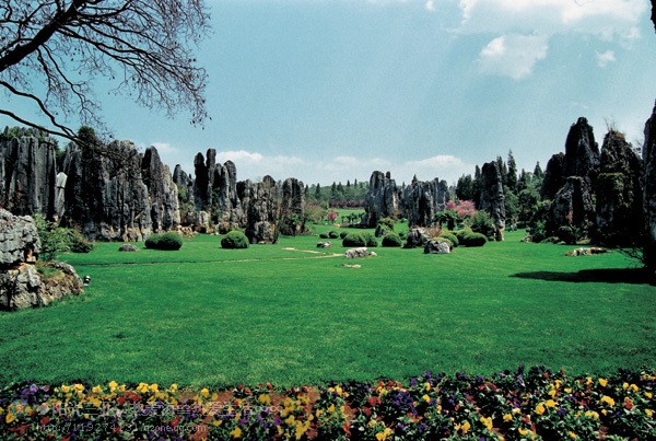 ��Ʒ������