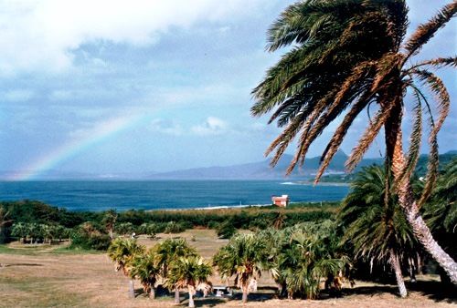 ��Ʒ������