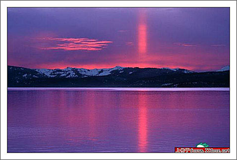 精品消费网 精品消费网