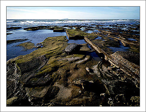 精品消费网 精品消费网