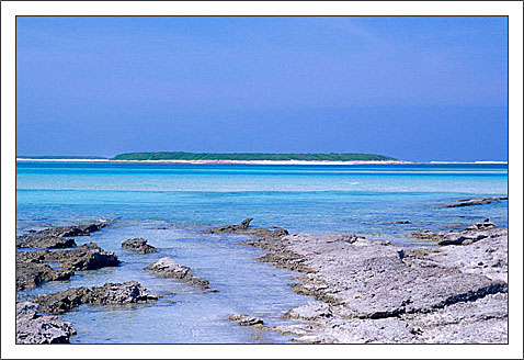 精品消费网 精品消费网