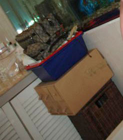 �������������ϴ�ּ��LV