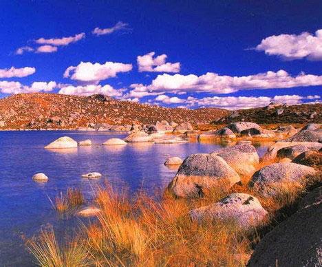 ��Ʒ������