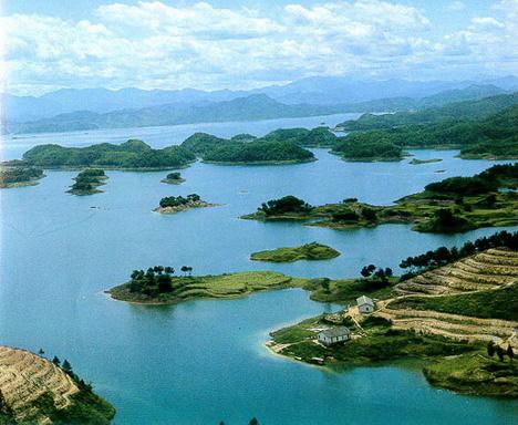 ��Ʒ������