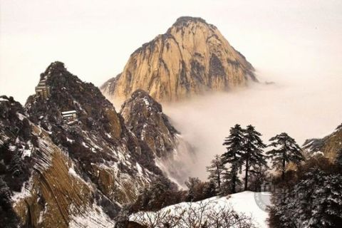 ��Ʒ������