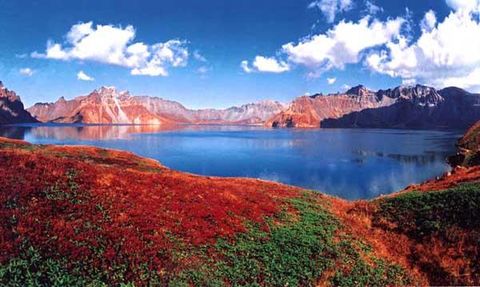 ��Ʒ������