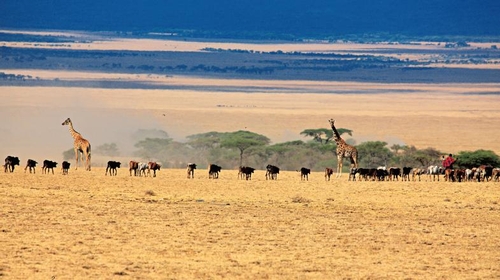 ��Զ����������&mdash;&mdash;���׸ǵ�ƽԭ