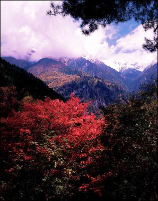 ��Ʒ������