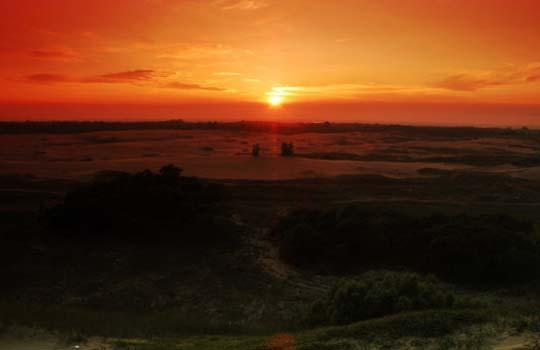 ��Ʒ������