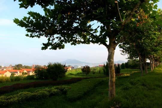 ��Ʒ������