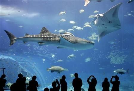 ��Ʒ����