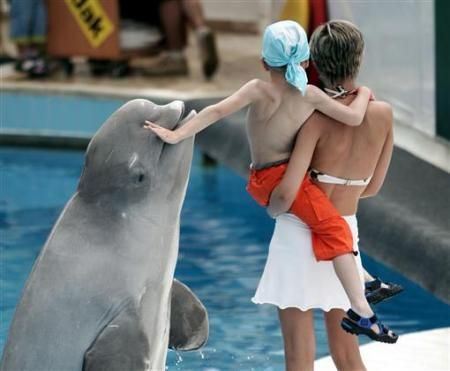 ��Ʒ����