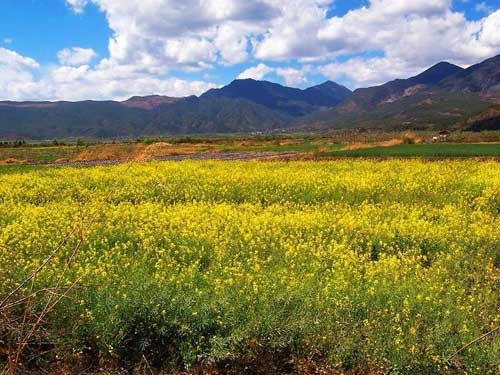 ��Ʒ������