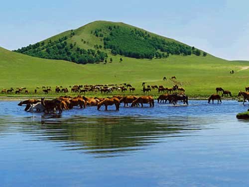 ��Ʒ������